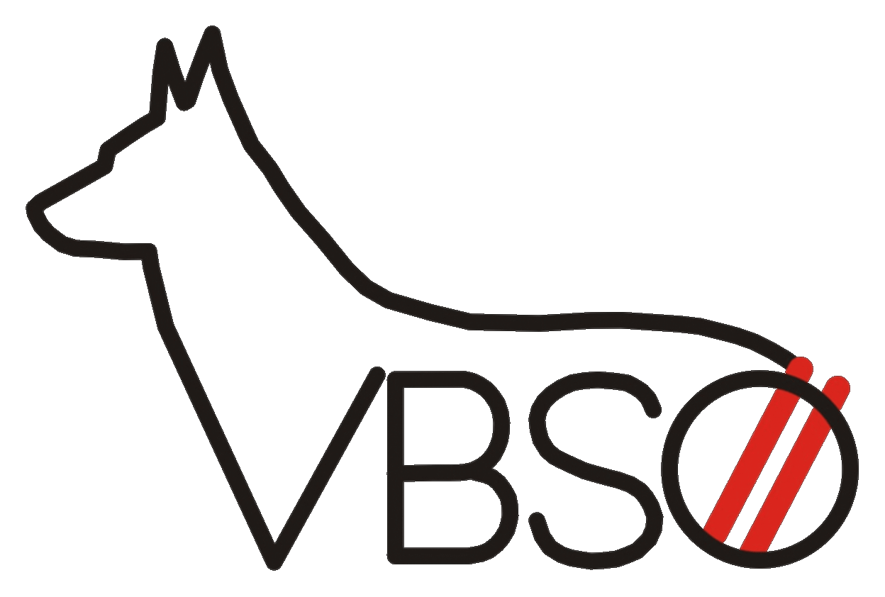 VBSOE